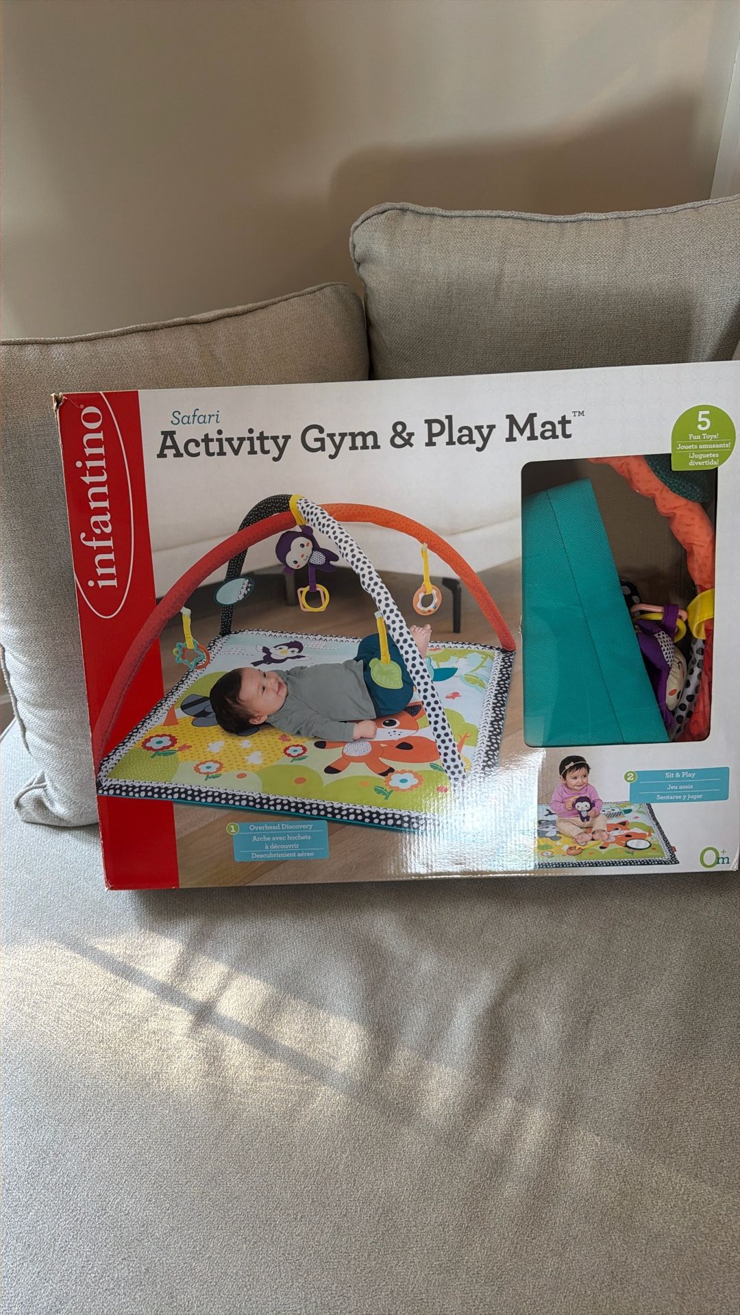 Activity Gym & Play Mat