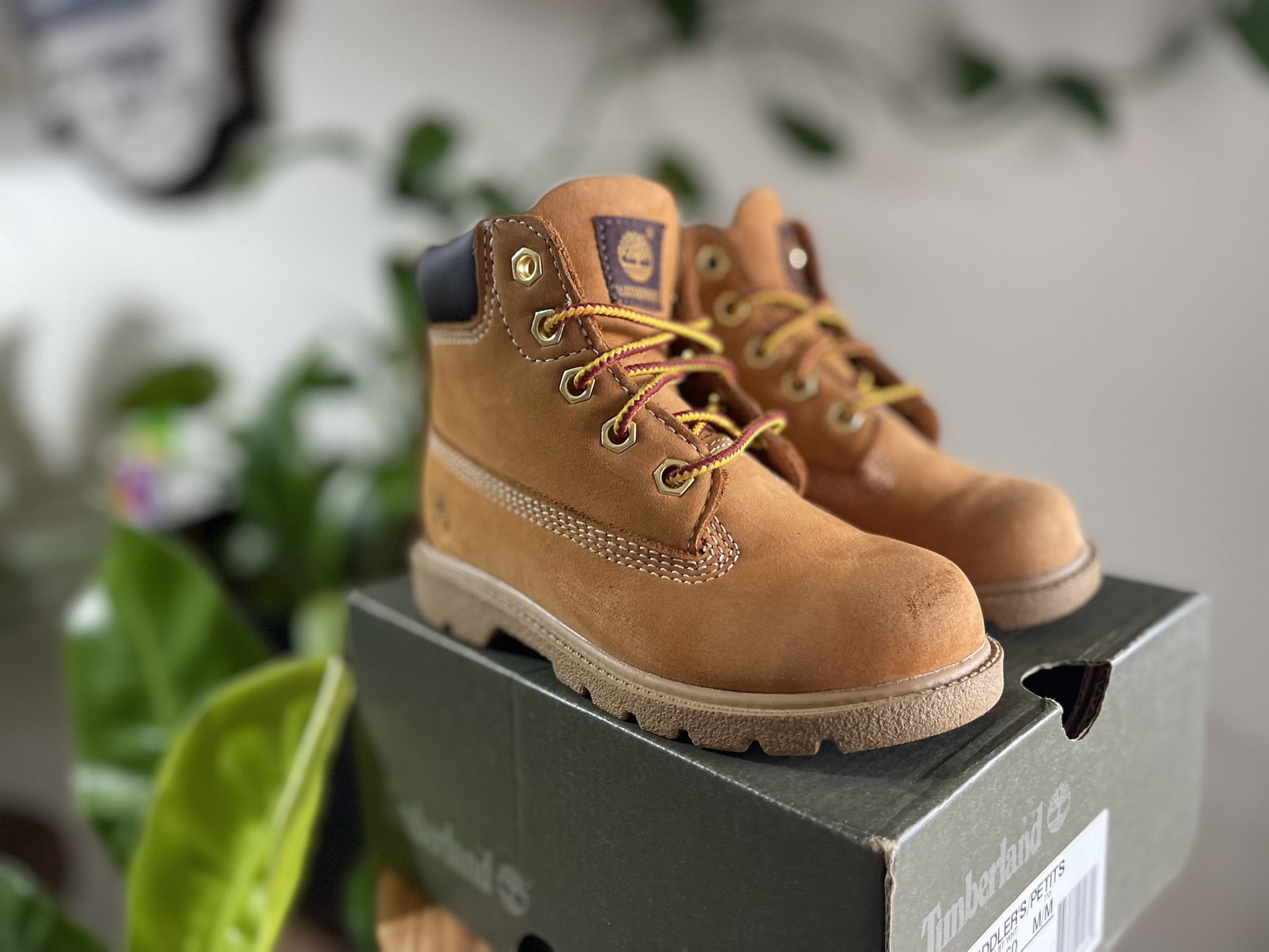 Timberland Size 9c
