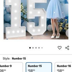 15 Quinceañera Marquee 