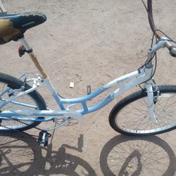 Beach Cruiser