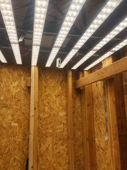 LED Grow Light
