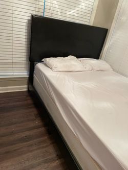 Wayfair Black Upholstery Low Profile Bed