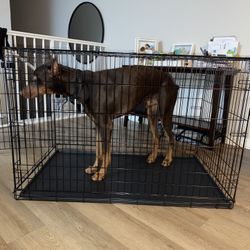 XL Dog Cage