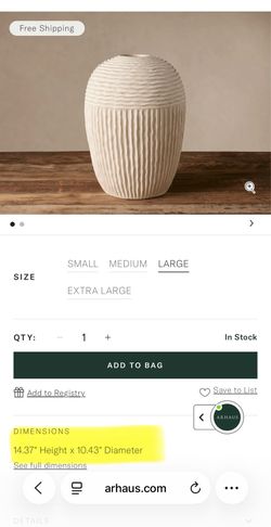 Arhaus Vase & Stems - Home decor