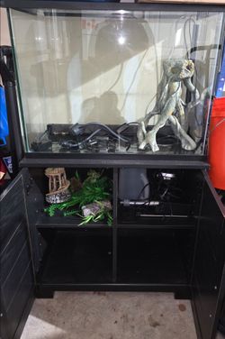 37 gallon fish tank with stand