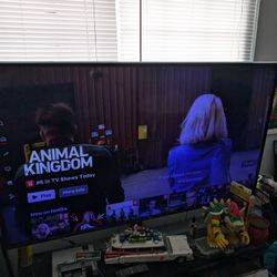 65" LG Roku TV
