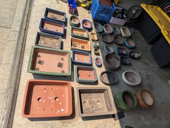 A lot bonsais pots