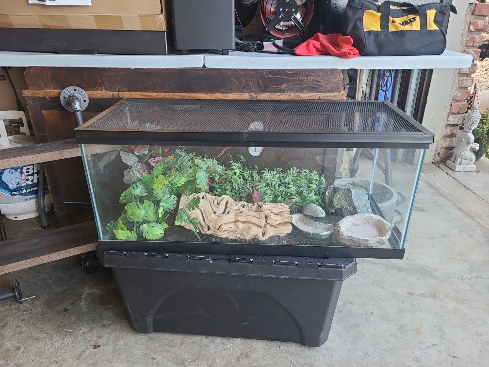 20 Gallon Aquarium
