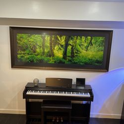 Peter Lik / Vershinin Original and Framed
