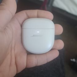 Bose Quiet Ultra Earbuds 
