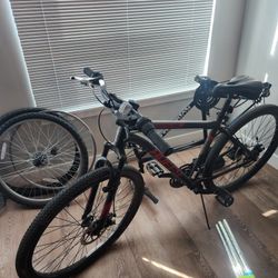 2 Bicycles