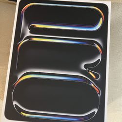 iPad Pro 13inch M4 Chip