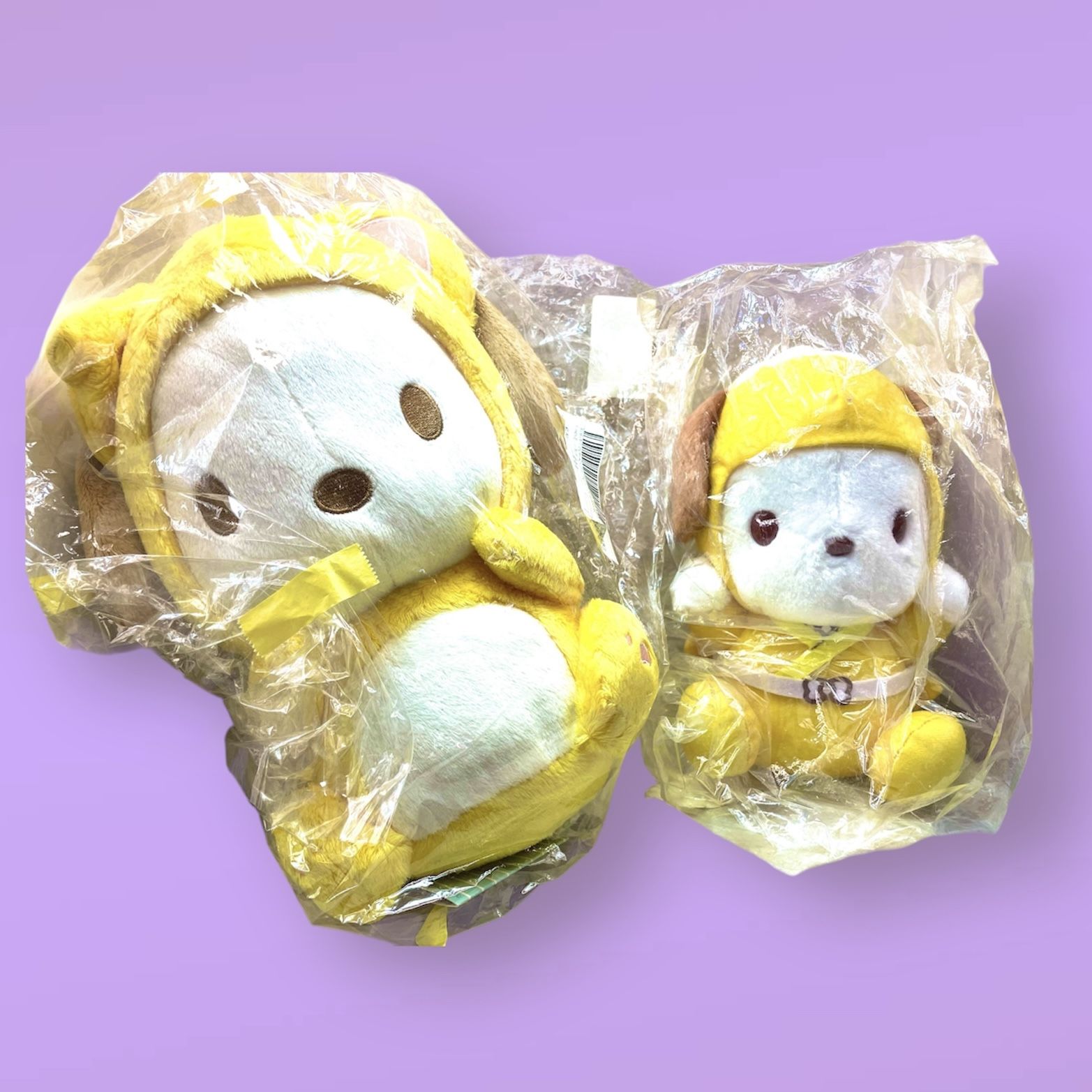 Sanrio Pochacco Dual Plushies (Brand New) 2 counts