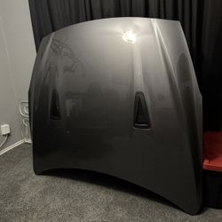 GTR Hood 