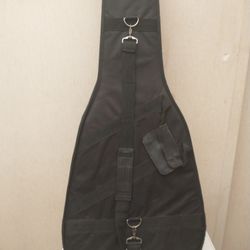 Guitar Bag/Case Used But Good Shape $20