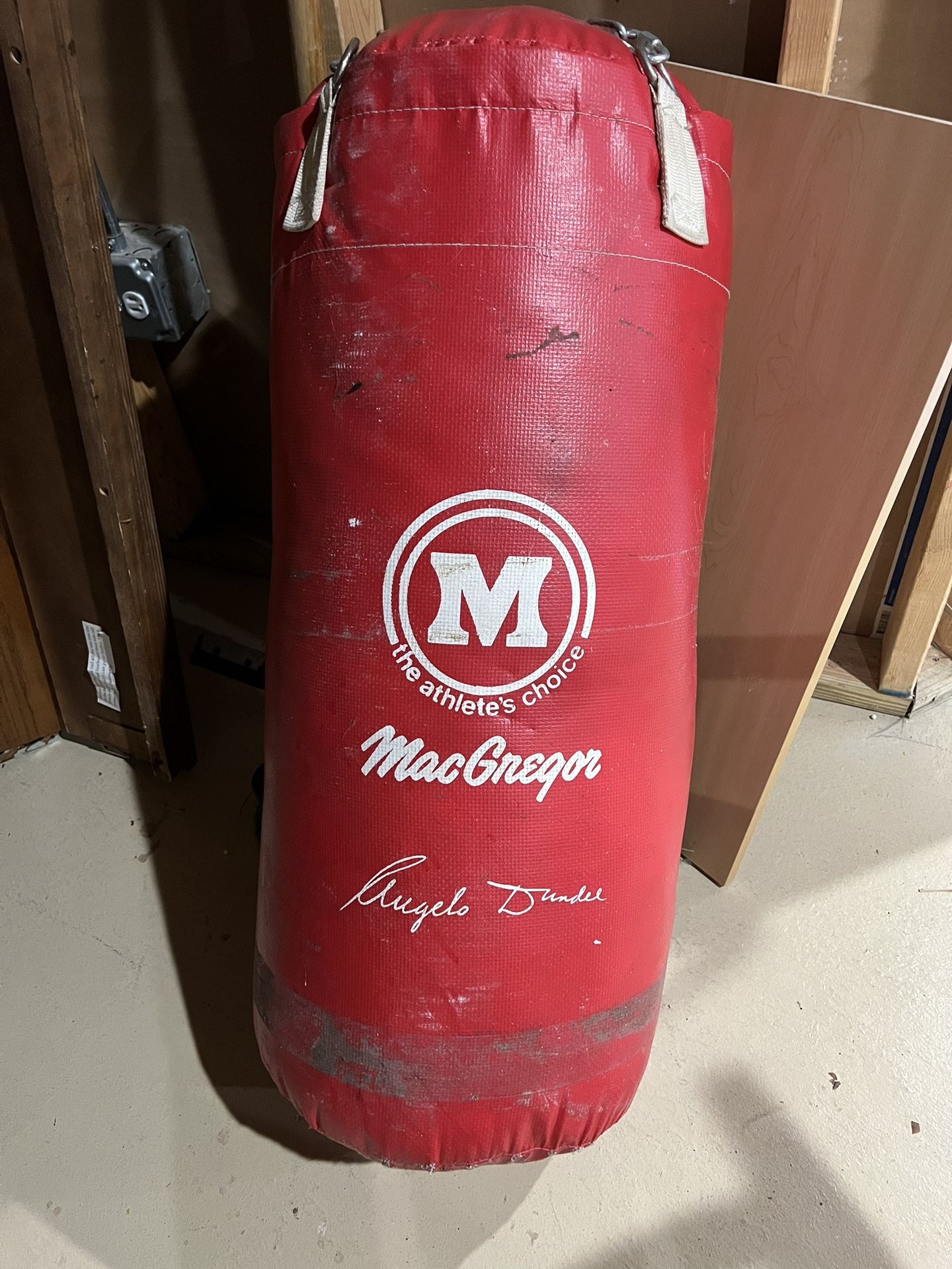 Punching Bags - MacGregor And Everlast Elite
