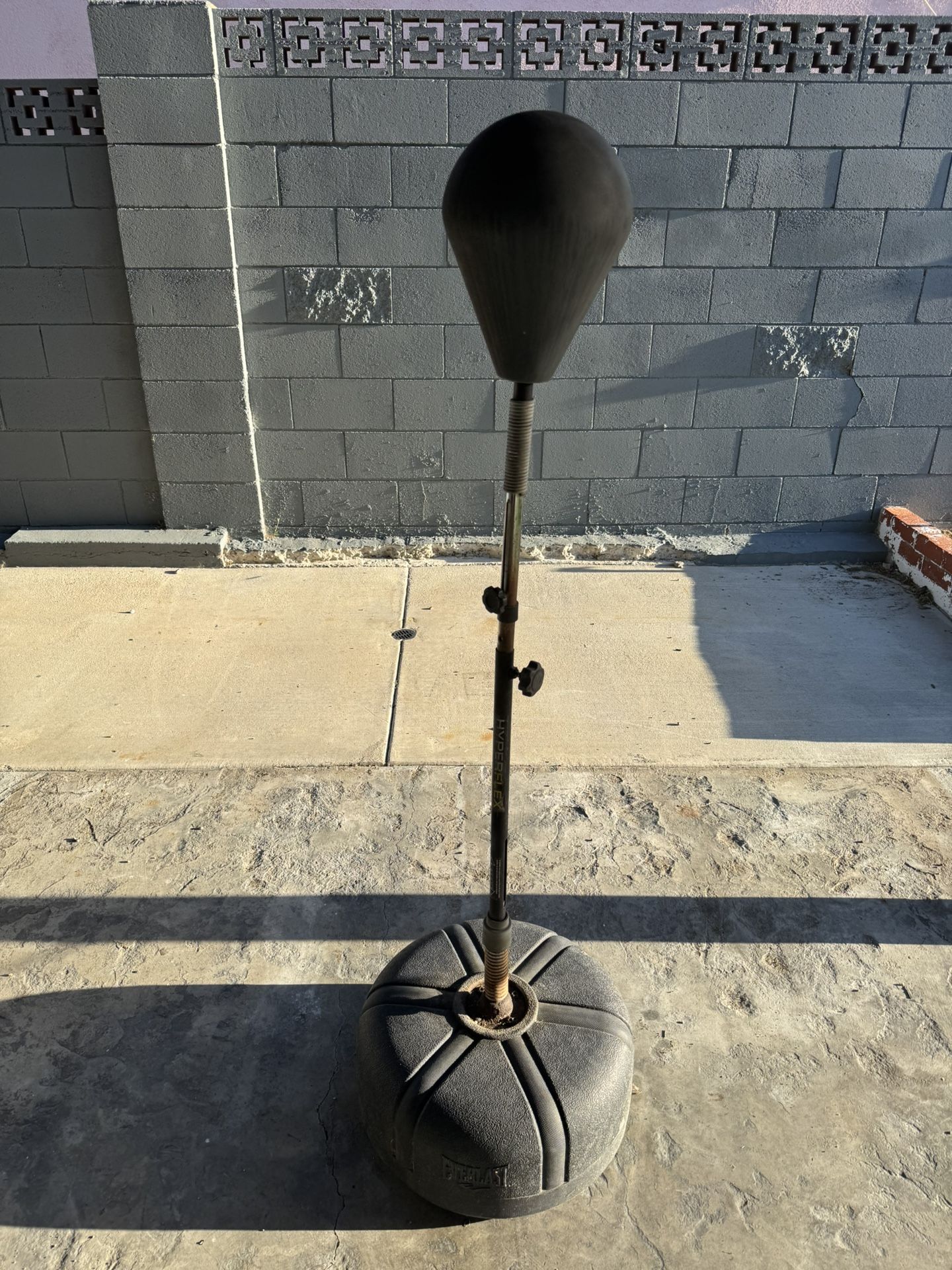 Everlast Standing Speed Bag