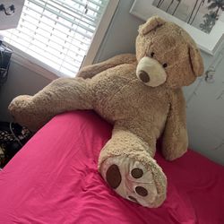 Giant Teddy  Bear