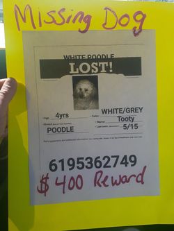 Please help us get our dog home