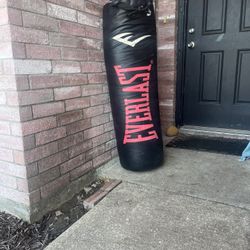100 Pound Everlast Punching Bag