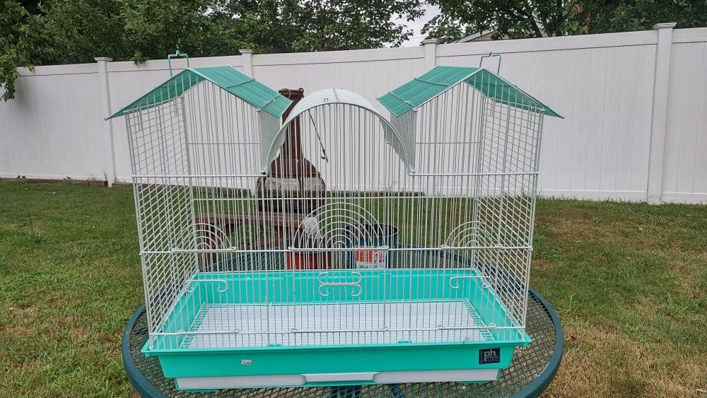 Bird Cage