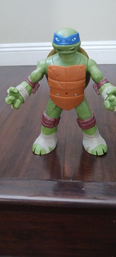 Ninga Turtle Pop Up Toy