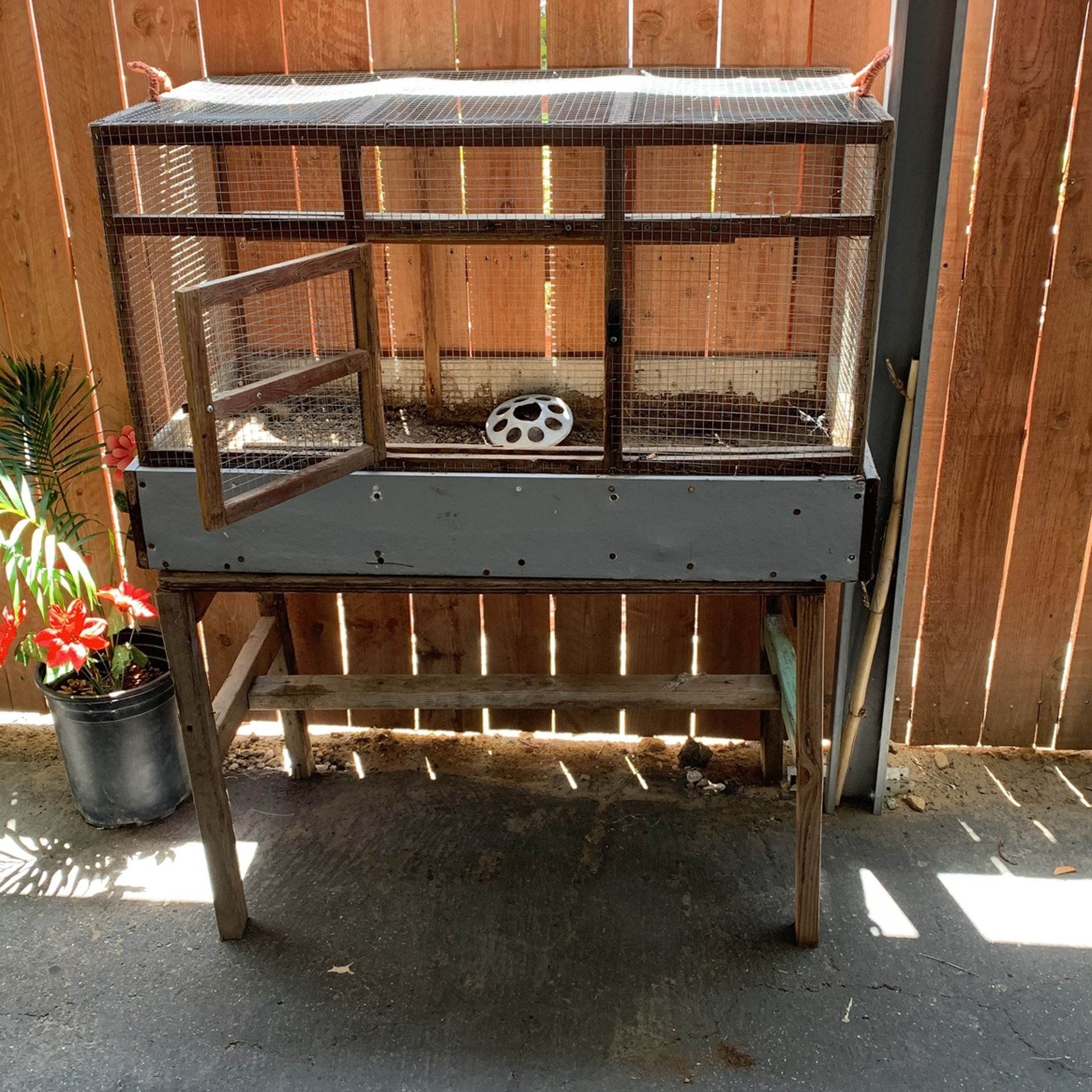 Bird Cage