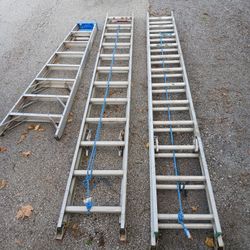 24' Extension Ladders (2) & 8' Step Ladder - Werner