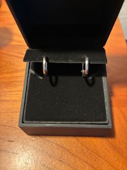 Platinum Hoop Earrings