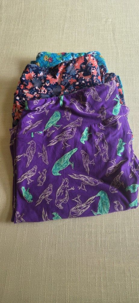Lularoe Leggings, 6 Pair