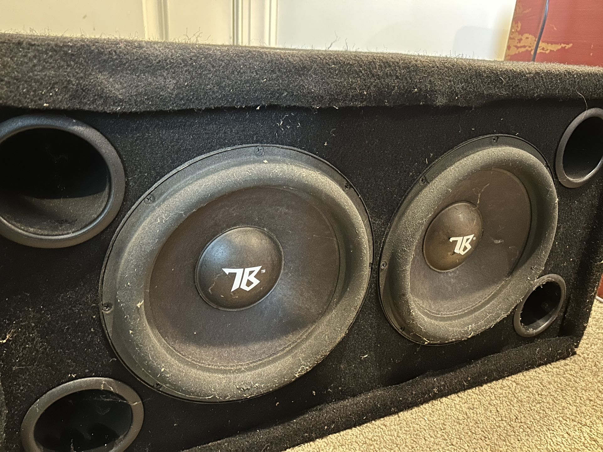 Truebass By Dana Audio 10” Subwoofers