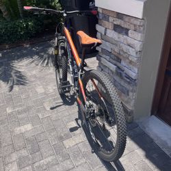 Trek Bike 