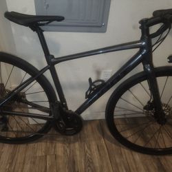 Giant Contend 3 2022