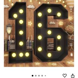 Number 16 Light Up Decor 