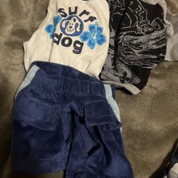 Dog. Clothing 