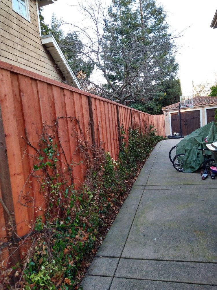 Fence Designs