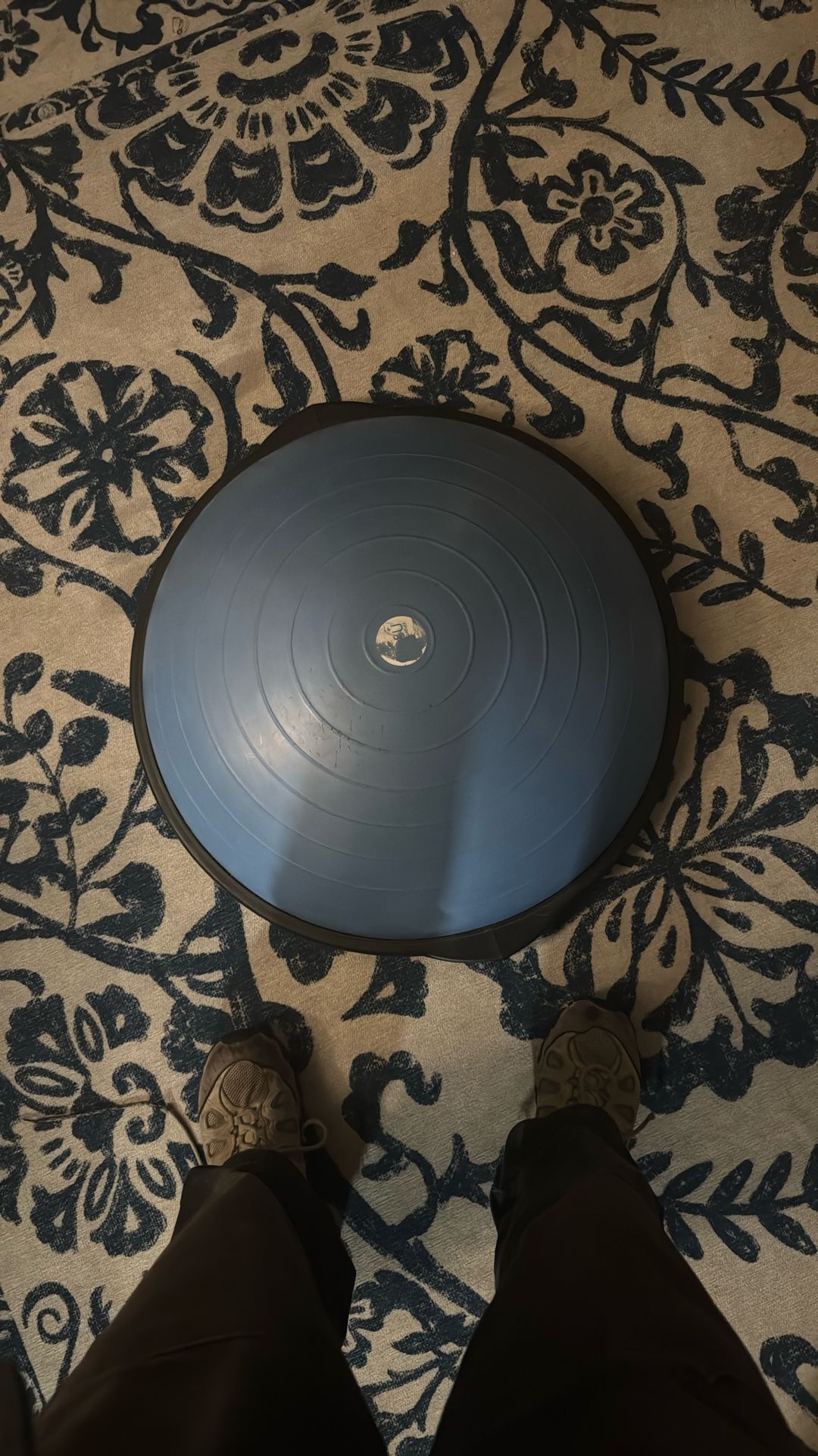 Bosu Bowl