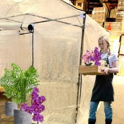 EAGLE PEAK 10'x 10' Portable Walk-in Greenhouse Instant Pop-up Easy Setup Indoor Outdoor Plant Gardening Green House Canopy, Front and Rear Roll-Up Zi