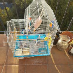 large bird condo,