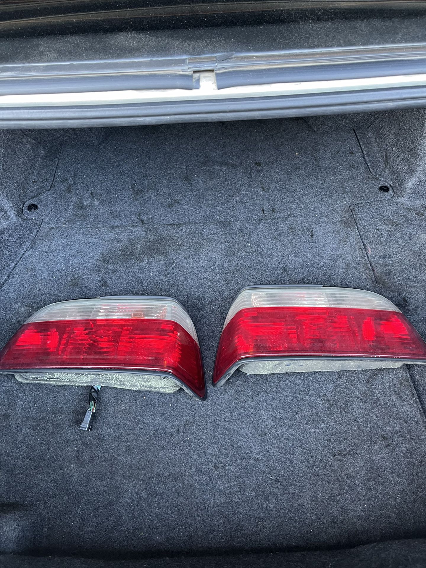E36 Taillights 