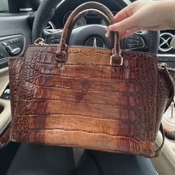 Michael Kors Brown Crocodile Bag 