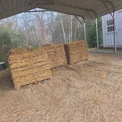 St Agustine Pallet Dormant