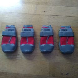 Large Dog Trail Shoes