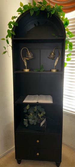 Bookcase (Best offer! Not free)