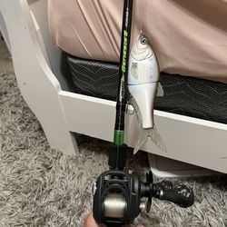 Swimbait Rod And Reel With 86 Baits Room rider for Sale in