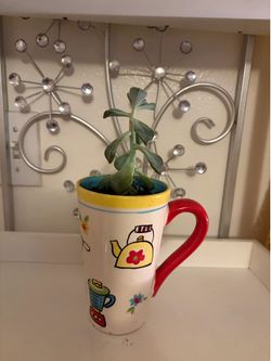 Plant