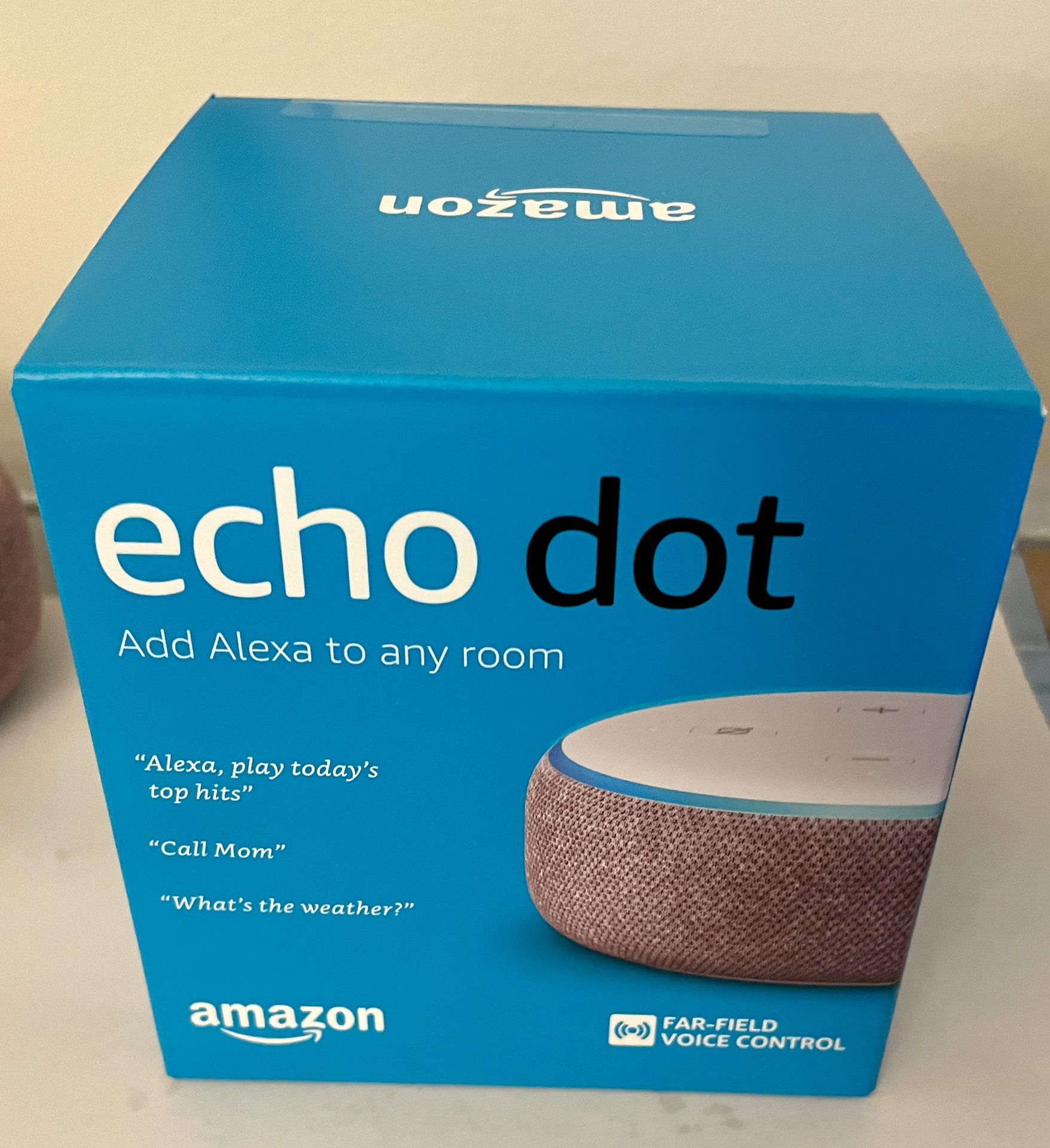 Color Changing Smart Bulb And Echo Dot