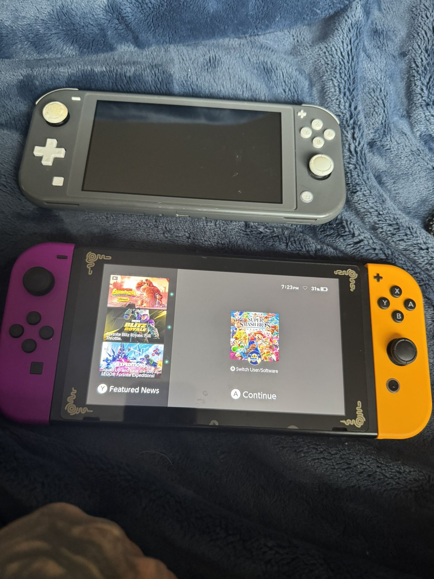 Nintendo Switch Handheld System And Nintendo Switch Lite