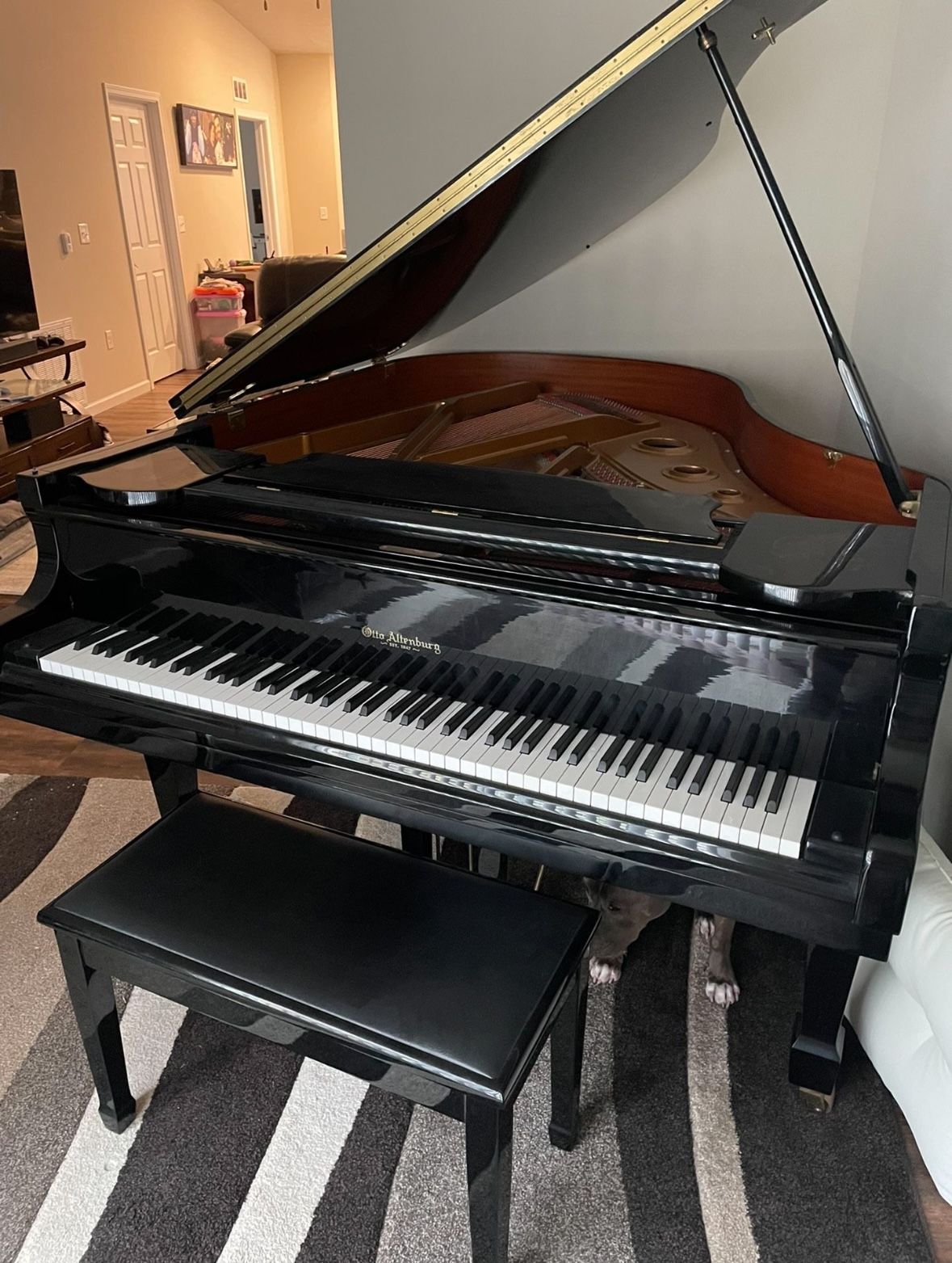 Beautiful 6’ Grand Piano