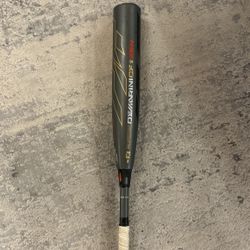 2019 Demarini CF Zen